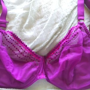 Elomi 40H purple bra